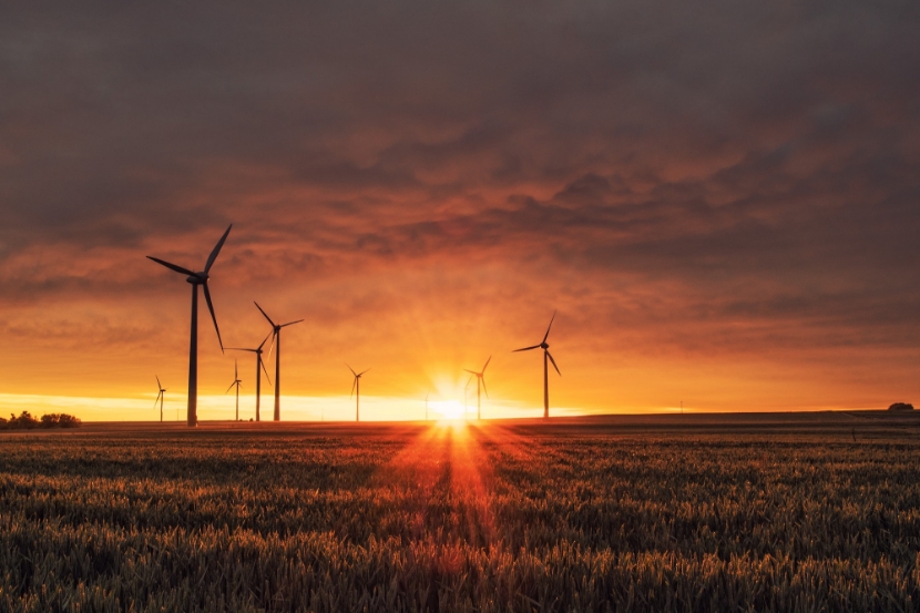 Photograph of windmills in field at sunset